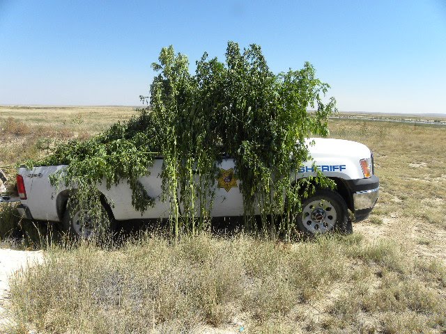 the Otero County Sheriff#39;s Otero County Colorado. the Otero County Sheriff#39;s
