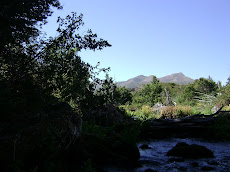 Paisajes Cordilleranos