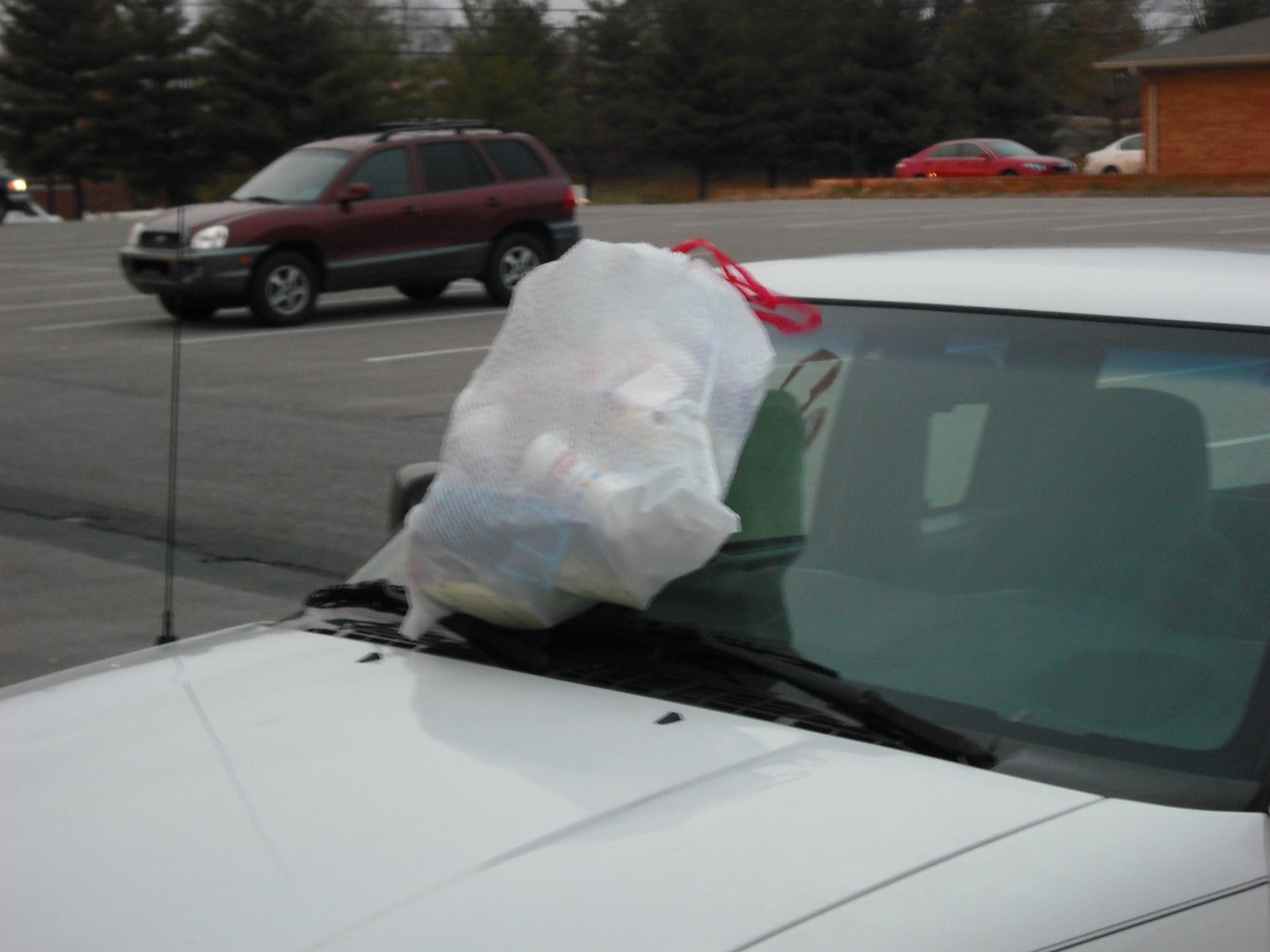 [trash+on+my+truck.JPG]