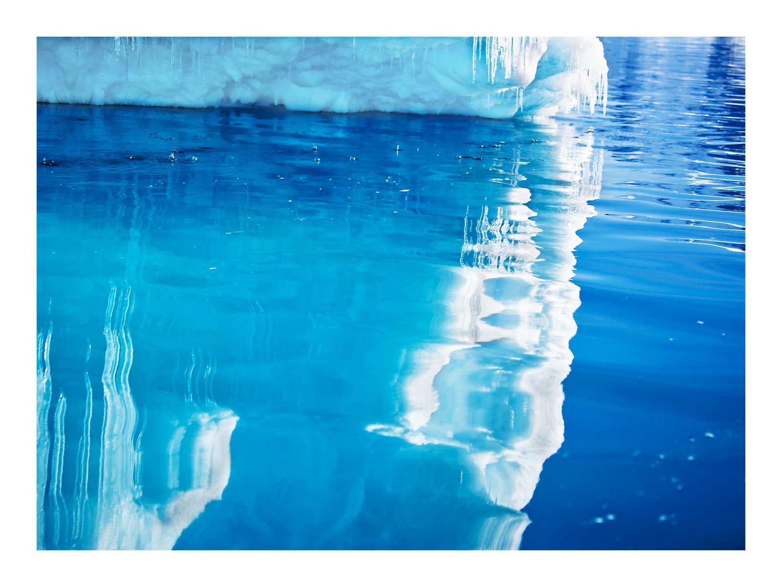 [print+ice+berg+drips+copy.jpg]