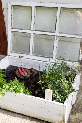 Con encanto . . .: Flores en el jardín