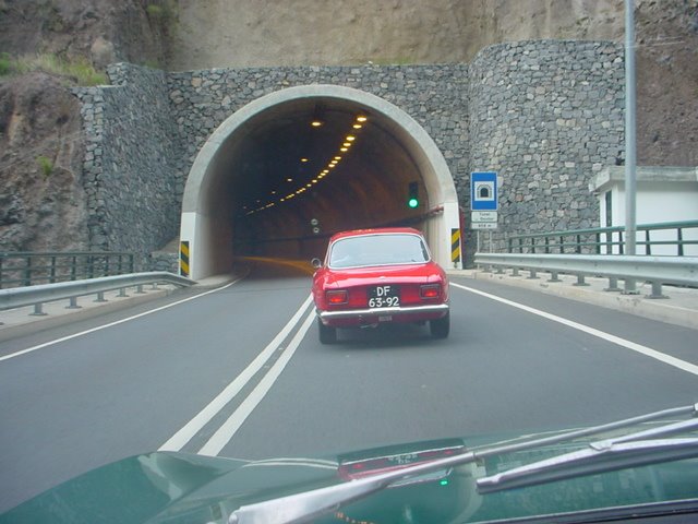 [DSC00230.JPG]