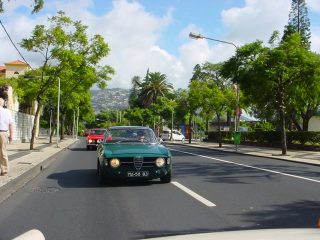 [DSC00160.JPG]