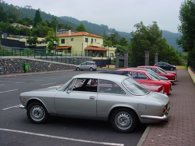 [dsc08893td6.jpg]