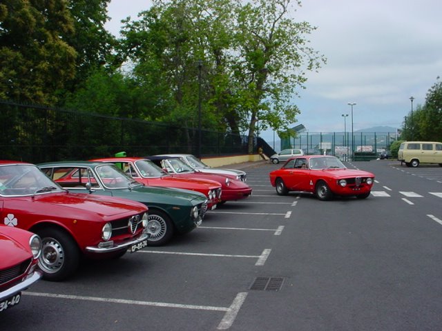 [dsc08916lo9.jpg]