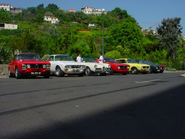 [DSC04557.JPG]