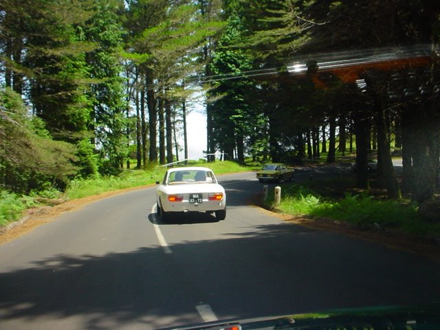 [DSC04646.JPG]