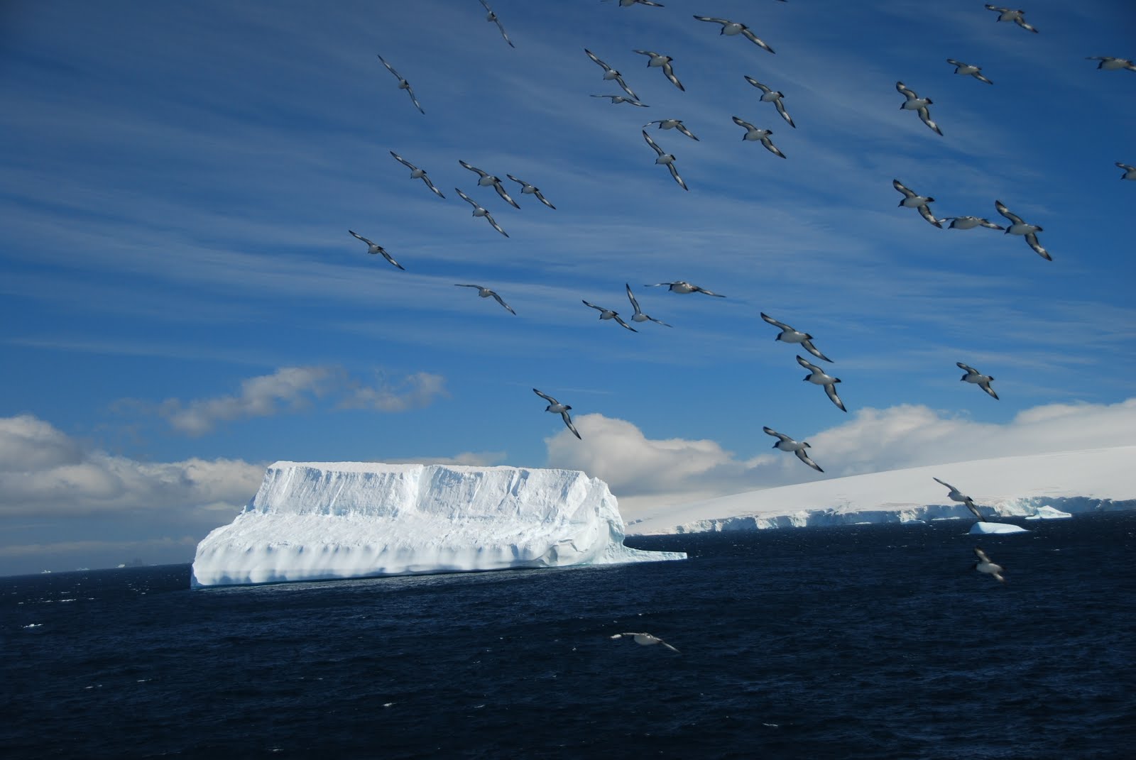 [Shetlandiceberg.JPG]