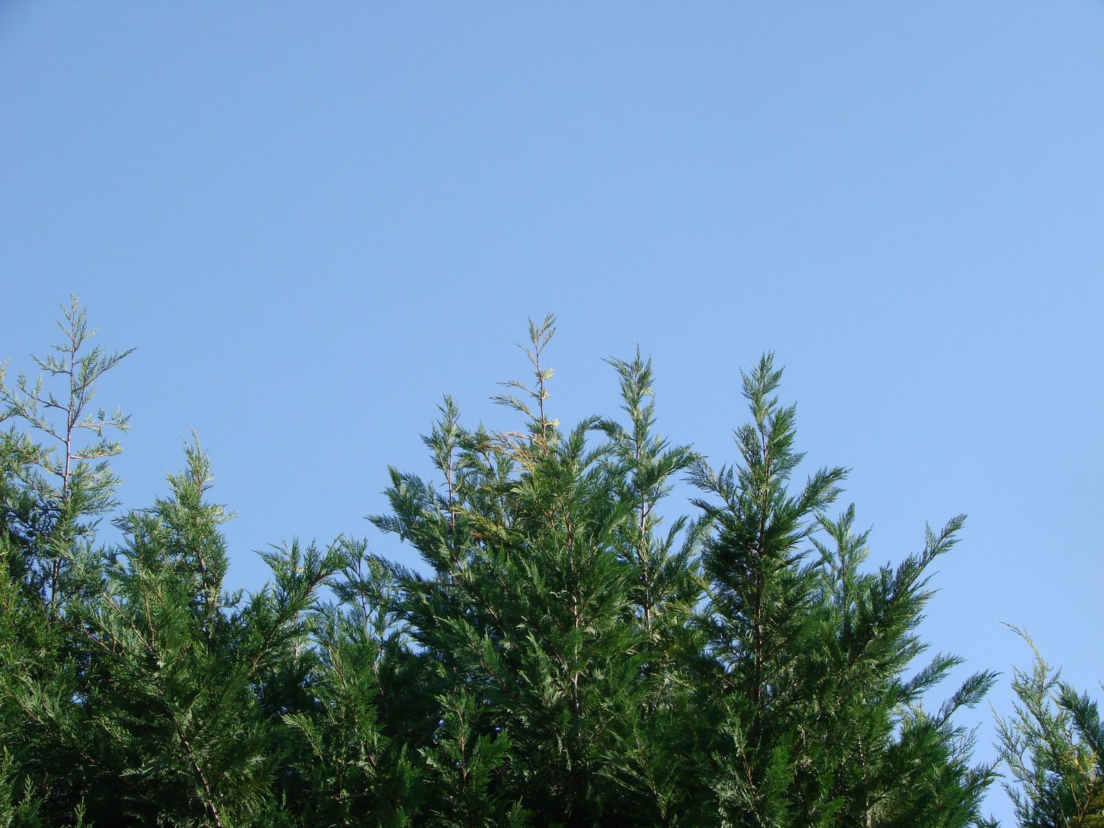 [DSC01893.JPG]