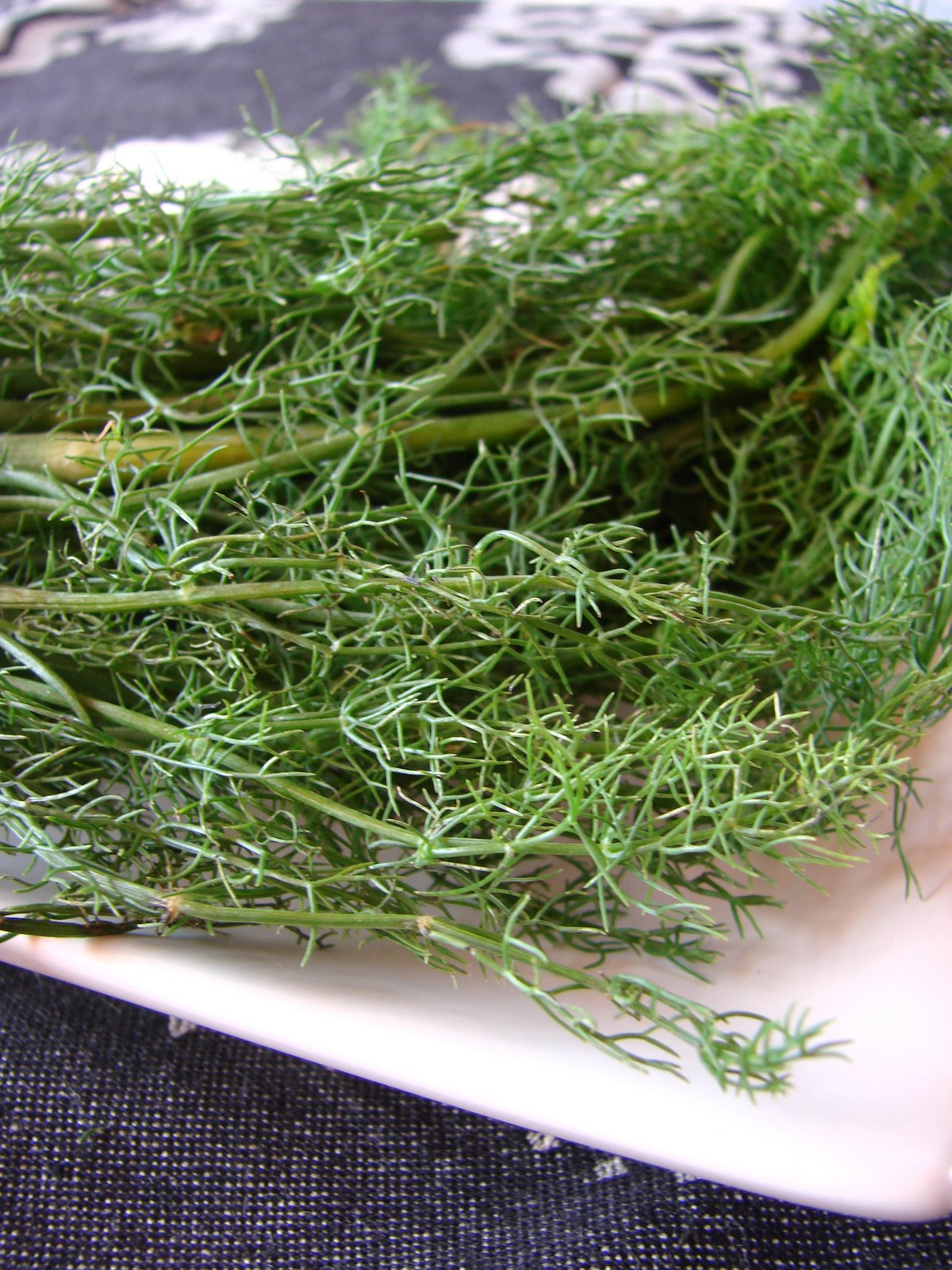 [DSC08814.JPG]