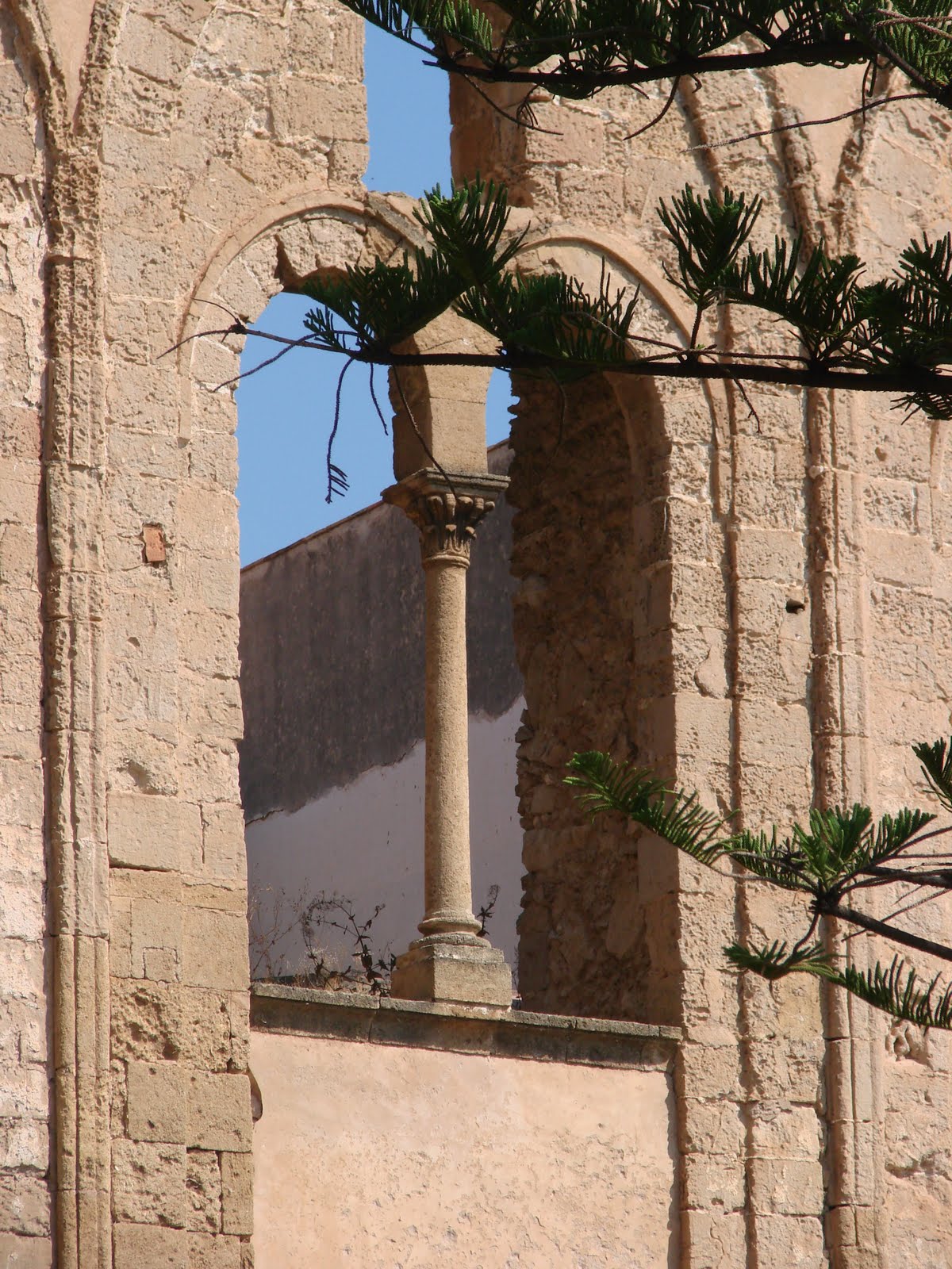 [DSC09259.JPG]