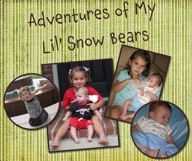 Adventures of My Lil' Snow Bears