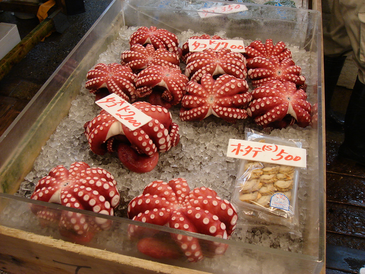 [DSC01826.JPG]