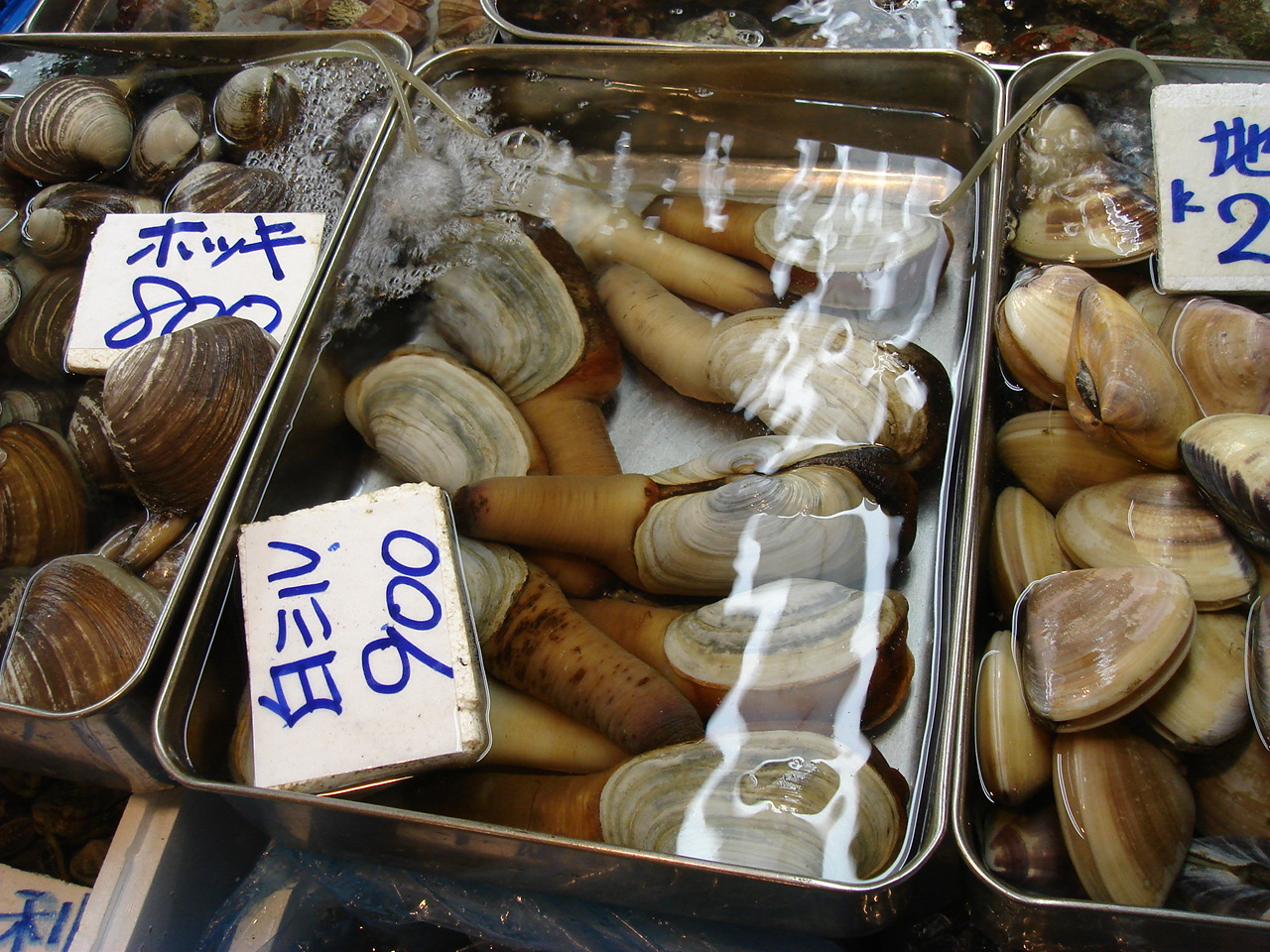 [DSC01840.JPG]