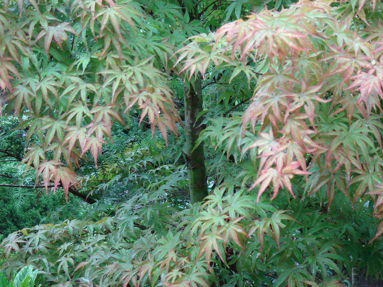 [DSC01703.JPG]