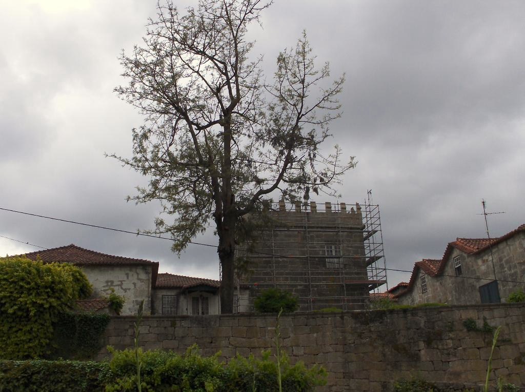 [HPIM9697_Medium.JPG]