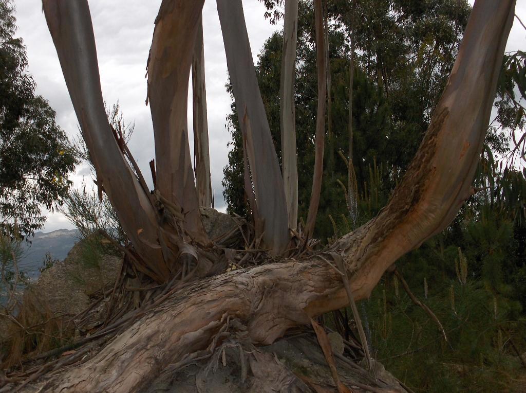 [HPIM9656_Medium.JPG]