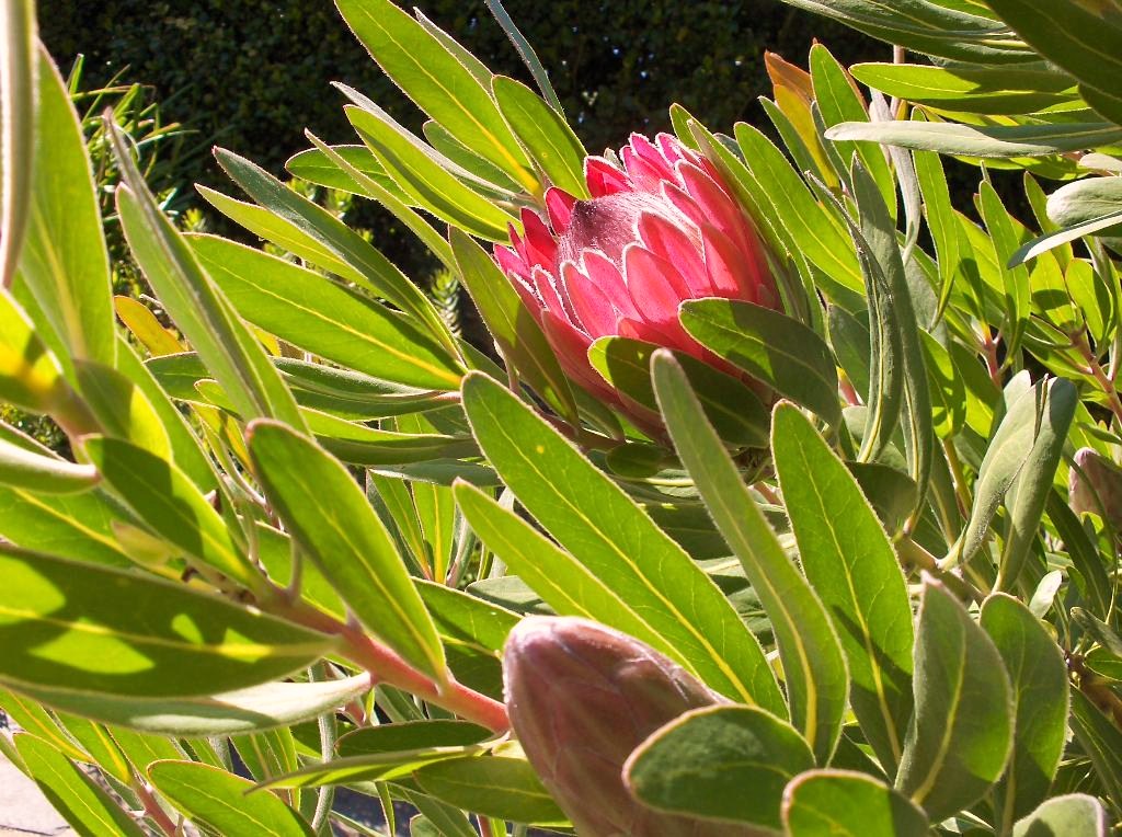 [HPIM5554_Medium.JPG]