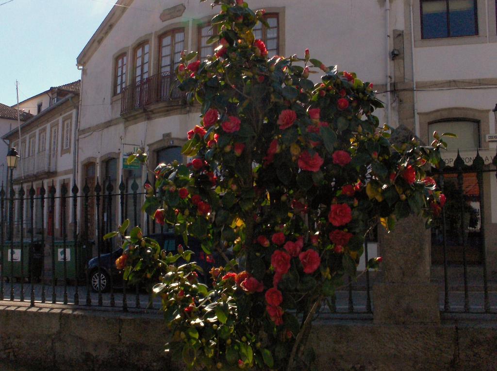 [HPIM8968_Medium.JPG]