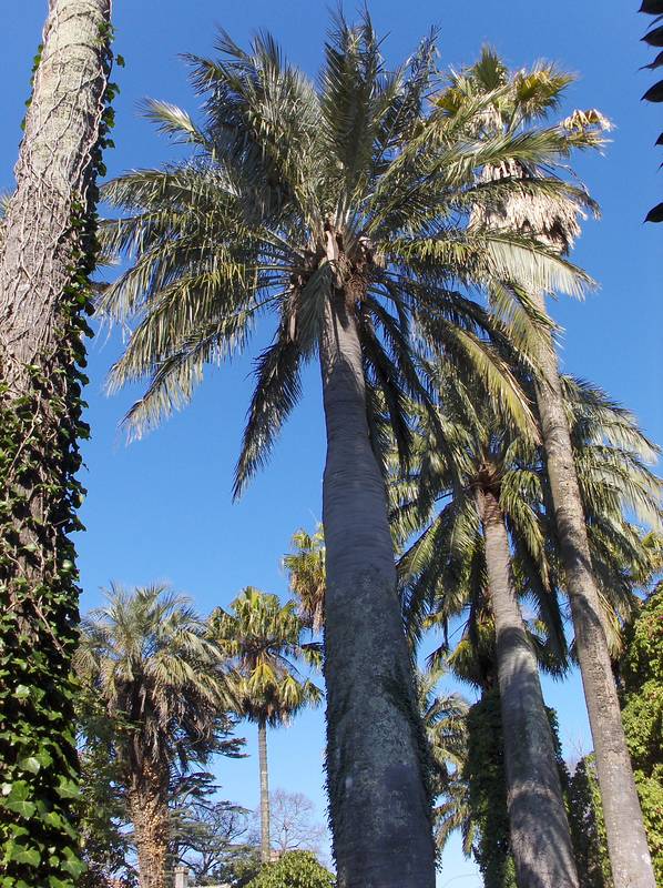 [HPIM8801+(Medium).JPG]