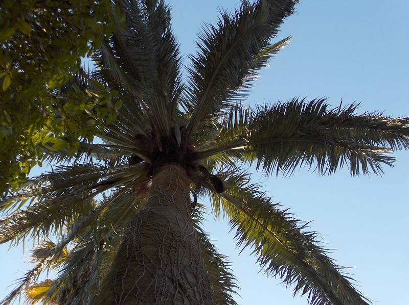 [HPIM8818+(Medium).JPG]