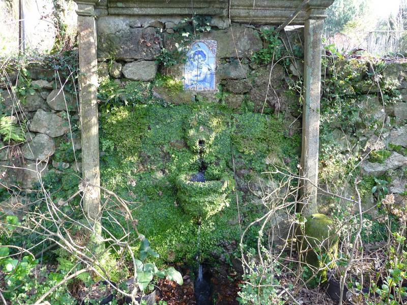 [P1010192+(Medium).JPG]