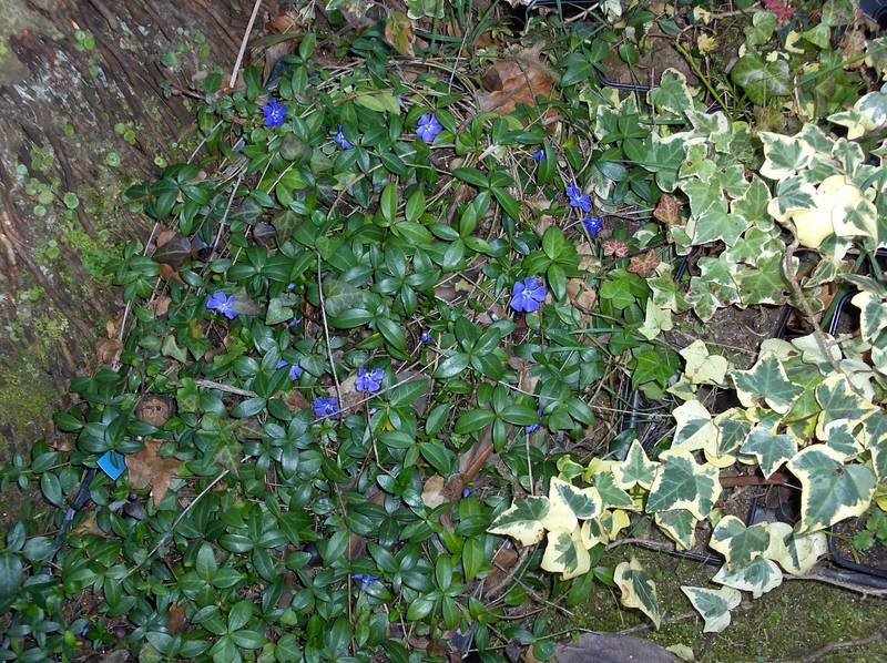 [HPIM8821+(Medium).JPG]