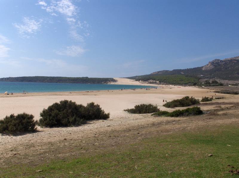 [HPIM6553+(Medium).JPG]