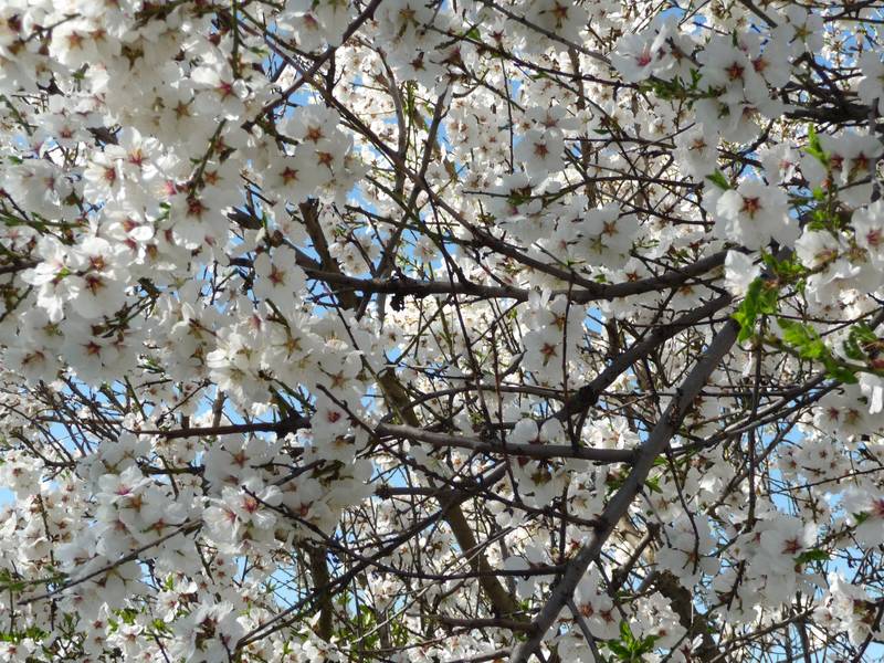 [P1010737+(Medium).JPG]