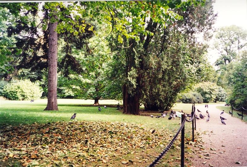 [Viena+2000+038+(Medium).jpg]