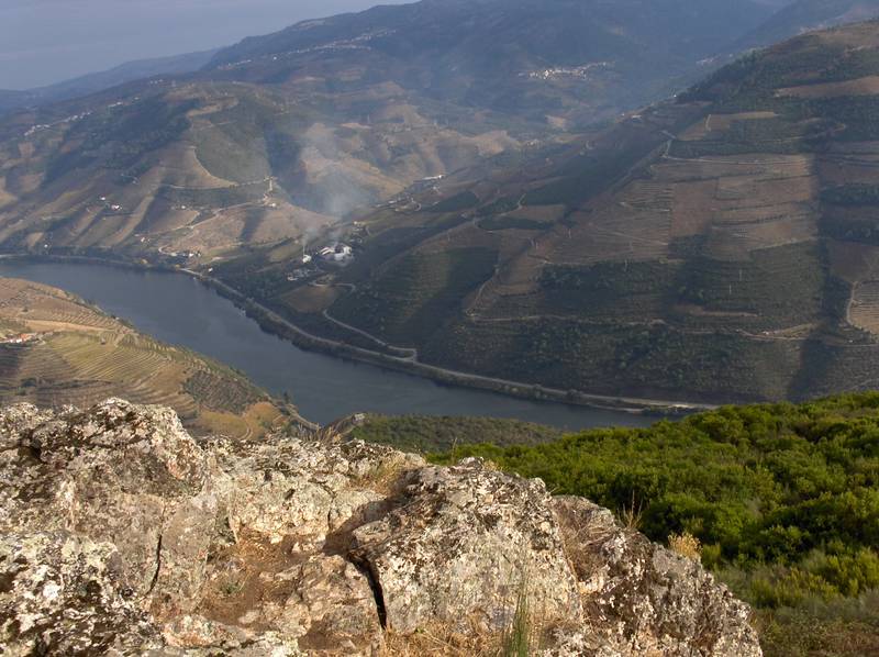 [HPIM7865+(Medium).JPG]