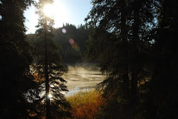 Denali Morning - Foggy Lake