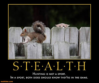 stealth-hunt-game-sport-rerun-demotivational-posters-1293206353.jpg