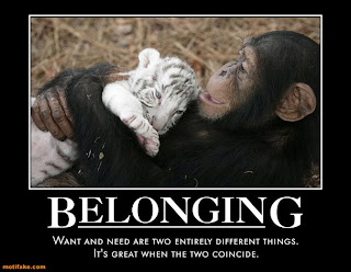 Identity and belonging essay