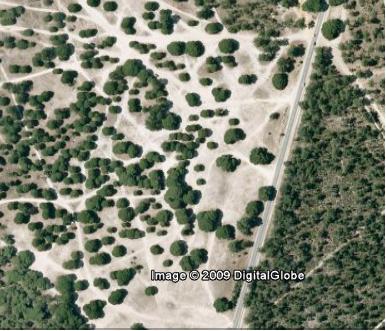[mapa+picnic+3.JPG]