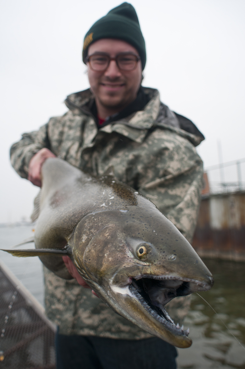 Great Lakes Angler Milwaukee Area Salmon Fishing Report 10/23/2010