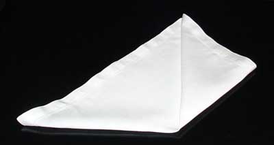 [napkin1b.jpg]
