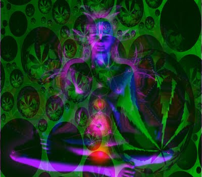 Pineal Gland Reptiles