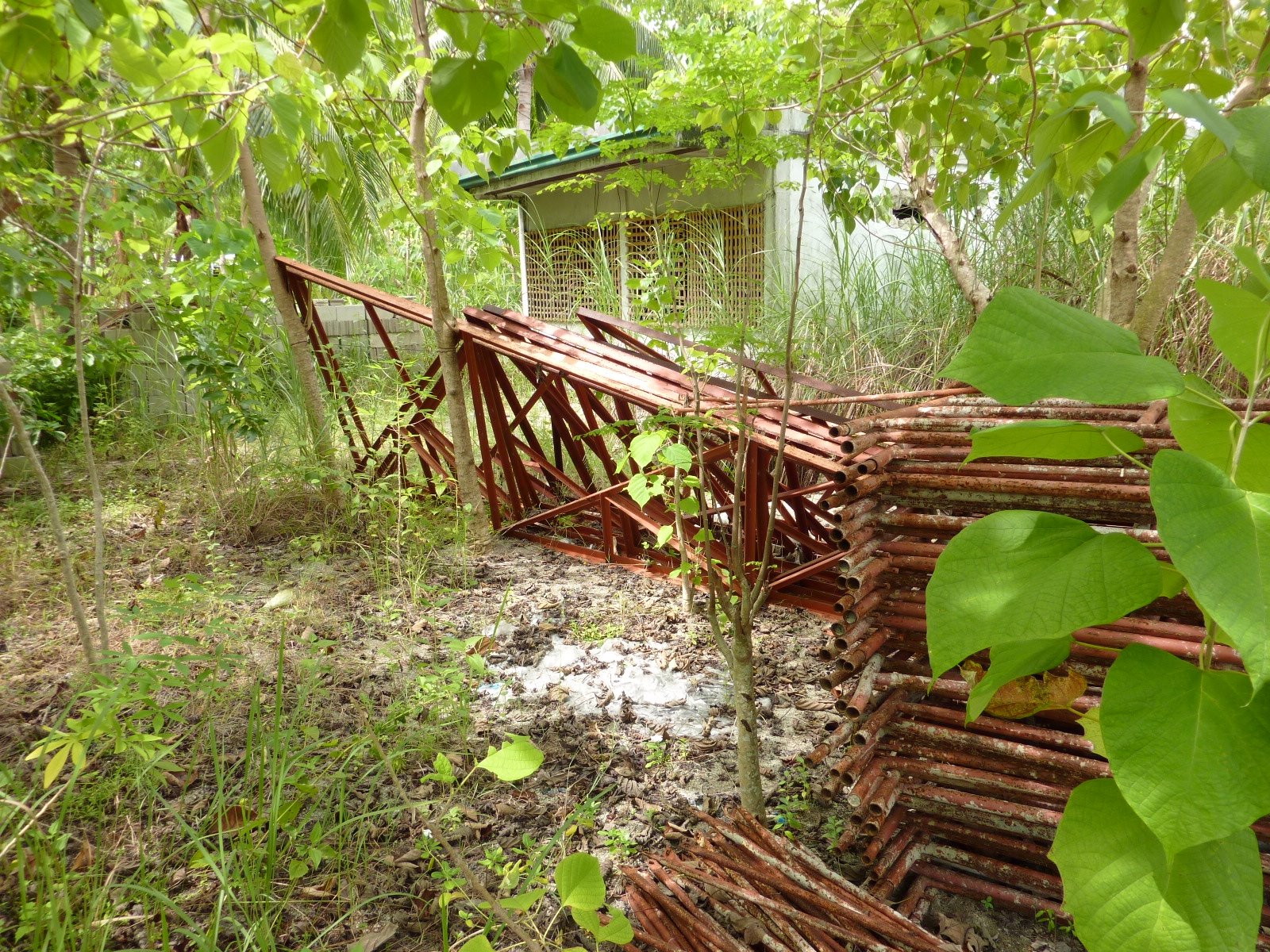 [P1000206.JPG]