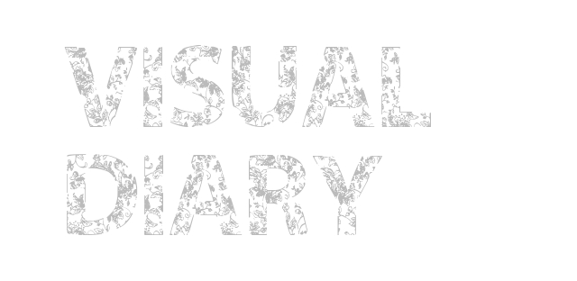 visual diary