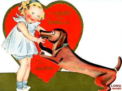 The Long and Short of it All: A Dachshund Dog News ...