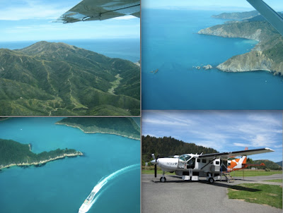Flight from Wellington to Picton - Click to enlarge