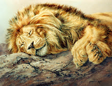 "Sleeping Lion"