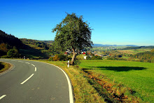 baum am ortseingang, von frankenberg kommend