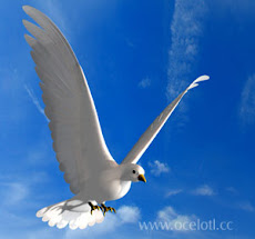 PALOMAS MENSAJERAS