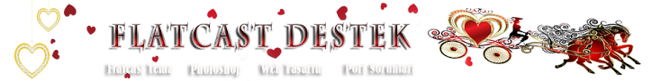 Flatcast Destek