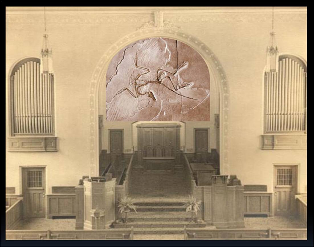 [Atheism+-+Archaeopteryx+I.jpg]