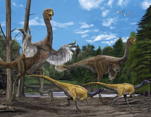 [Gigantoraptor.JPG]