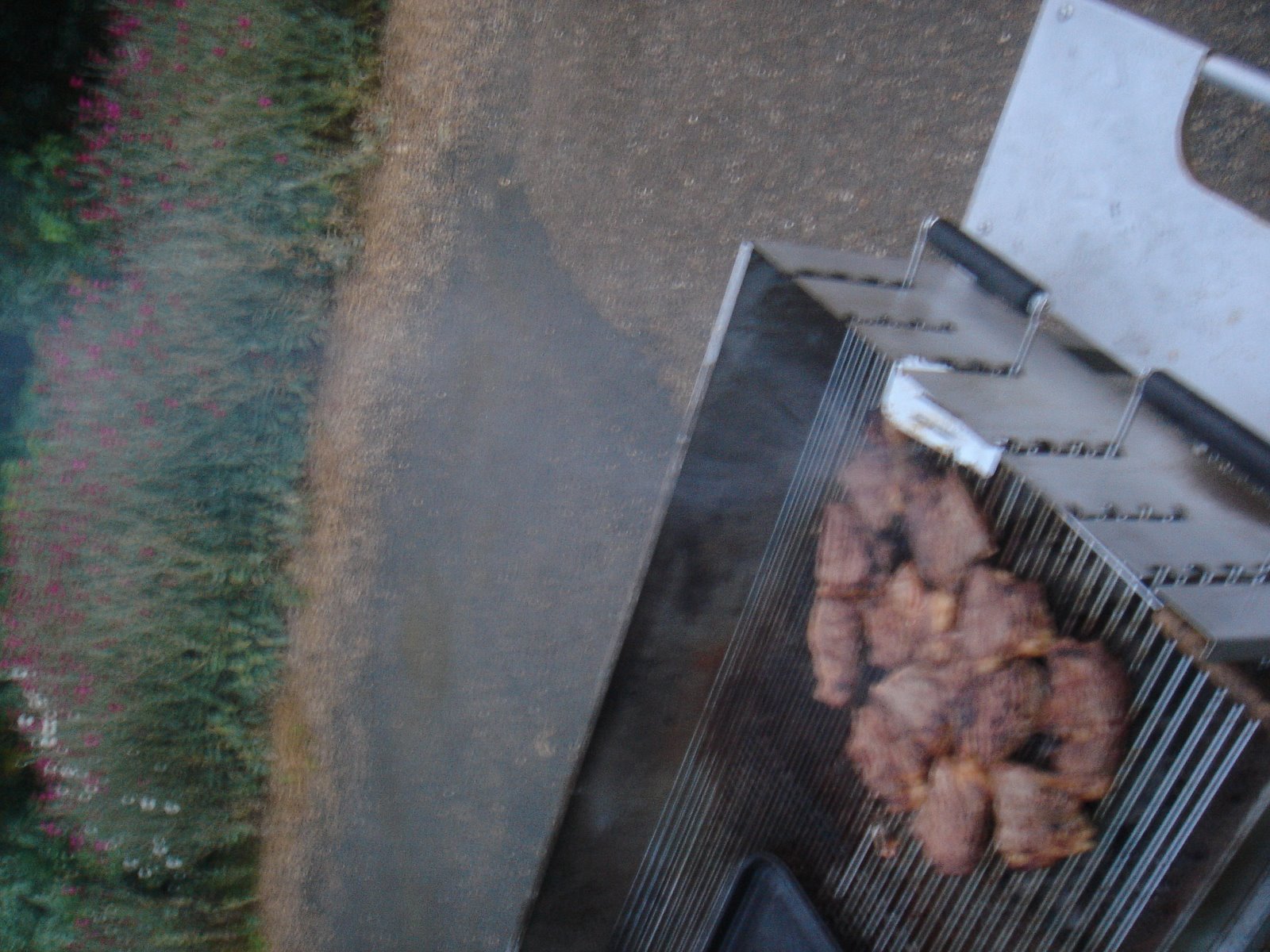 [DSC01994.JPG]