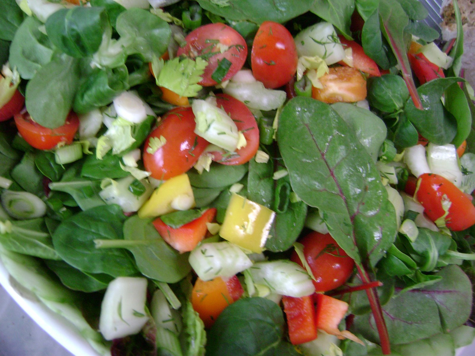 [Salad.JPG]